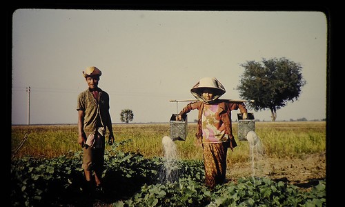 阿司匹林禁忌网 - 阿司匹林禁忌药物,阿司匹林禁忌症包括